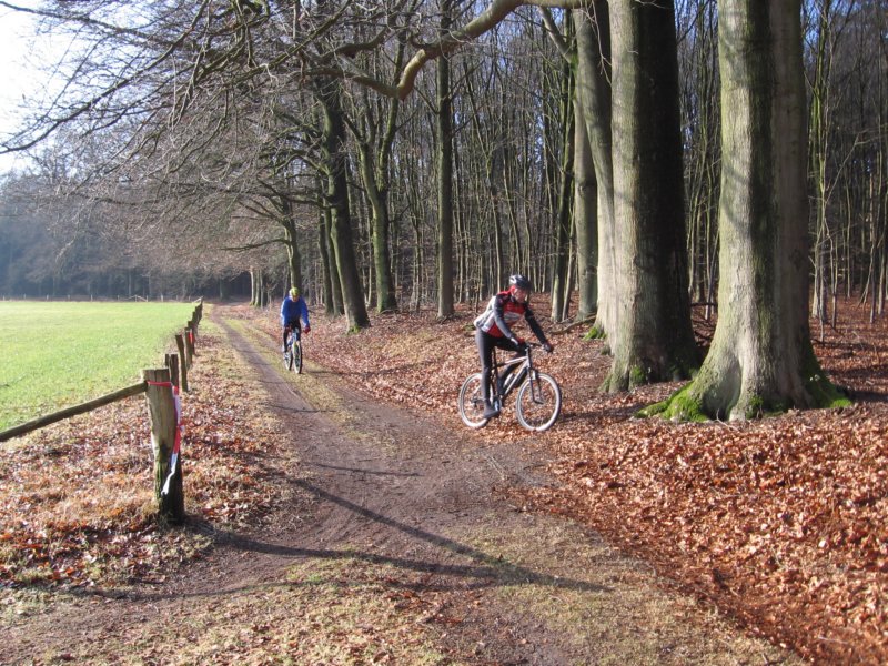 atbdag1422009025.jpg