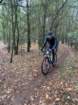 img20191103wa0008_small.jpg