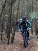 img20191103wa0010_small.jpg