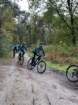 img20191103wa0038_small.jpg