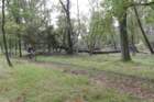 p1250101_small.jpg