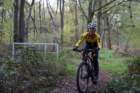 dsc02446_small.jpg