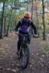 dsc02462_small.jpg