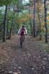 dsc02470_small.jpg