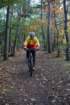 dsc02475_small.jpg