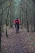 dsc02478_small.jpg