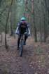 dsc02482_small.jpg
