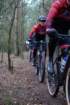 dsc02511_small.jpg