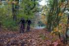 dsc02512_small.jpg