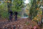 dsc02514_small.jpg