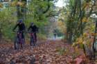 dsc02515_small.jpg
