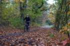 dsc02516_small.jpg
