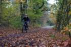dsc02517_small.jpg
