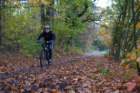 dsc02518_small.jpg