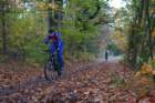 dsc02520_small.jpg