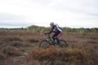dsc02593_small.jpg