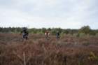 dsc02611_small.jpg