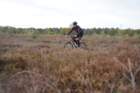 dsc02621_small.jpg