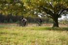 dsc02652_small.jpg