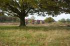 dsc02668_small.jpg