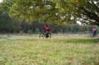 dsc02675_small.jpg