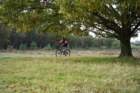 dsc02678_small.jpg