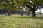 dsc02680_small.jpg