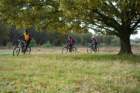 dsc02682_small.jpg