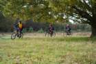 dsc02683_small.jpg