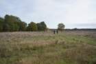dsc02685_small.jpg