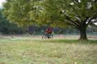 dsc02687_small.jpg