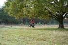 dsc02688_small.jpg