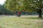 dsc02689_small.jpg