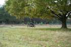 dsc02690_small.jpg