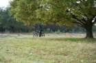 dsc02691_small.jpg