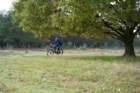 dsc02692_small.jpg
