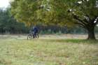 dsc02693_small.jpg