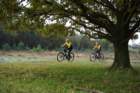 dsc02694_small.jpg