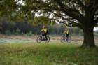 dsc02695_small.jpg