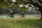 dsc02699_small.jpg