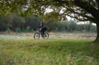 dsc02701_small.jpg