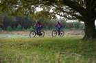 dsc02704_small.jpg