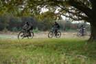 dsc02707_small.jpg