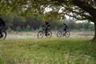 dsc02710_small.jpg
