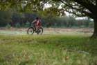 dsc02713_small.jpg