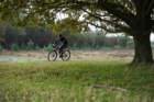 dsc02714_small.jpg