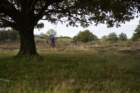 dsc02718_small.jpg