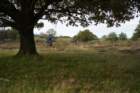 dsc02719_small.jpg