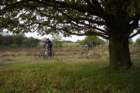 dsc02721_small.jpg