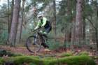dsc02796_small.jpg